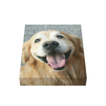 Smiling Golden Retriever Wrapped Canvas Print