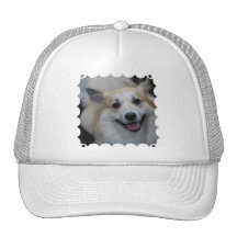 Smiling Icelandic Sheepdog Baseball Hat