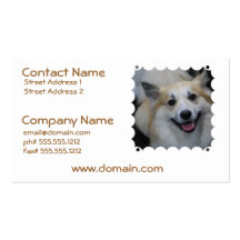 Smiling Icelandic Sheepdog Business Cards