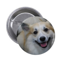 Smiling Icelandic Sheepdog Button