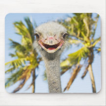 Smiling Ostrich Mousepad