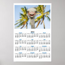 Smiling Ostrich Poster Calendar