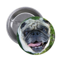 Smiling Pug Button