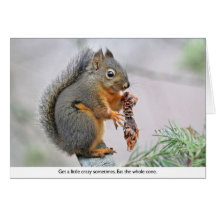 Smiling Squirrel Eating Pine Cone Card