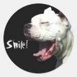 Smiling White Boxer dog stickers