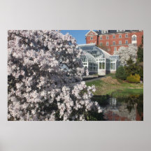 Smith College Lyman Plant House in Spring Poster
