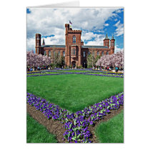 Smithsonian Castle and Haupt Garden Card cards
