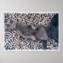 Smokey-Just Chillin' Poster