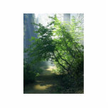 Smokey Paths Trails Forests Woods Acrylic Cut Out