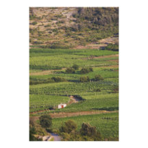 Smokvica vineyards on Korcula from the Toreta Photo Print