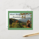 Smoky Mountain Black  Bear postcards