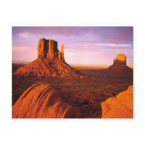 SMON0975-9 POSTCARD