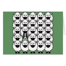 Smooth-Coated Border Collie in the Sheep Card