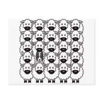 Smooth-Coated Border Collie in the Sheep Post Cards