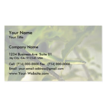 Smooth Green Snake Business Card Template