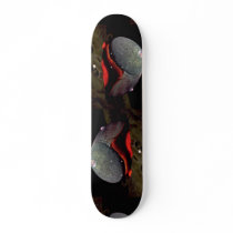 Smooth turban (Norrisia norrisii) Shell Skate Board Decks