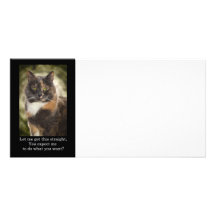 Smug Kitty - Do What You Want? Personalized Photo Card