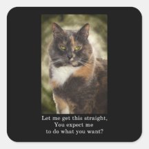 Smug Kitty - Do What You Want? Square Sticker