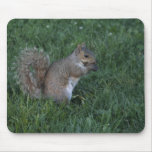Snack Time Mouse Mat