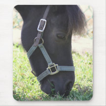Snacking Horse Mousepad
