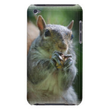 Snacking Squirrel Barely There iPod Covers