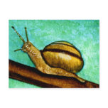 Snail 1 Postcard