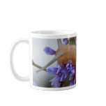Snail Animal Mugs