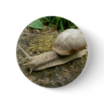 Snail Pin