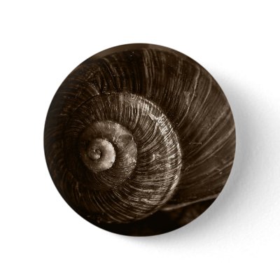 Snail Buttons by openeyes_photos