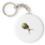 SNAIL FROM JUNGLEWALK.COM keychains