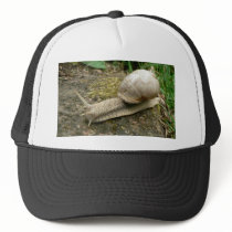 Snail Hats