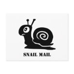 Snail Mail Post Card postcards