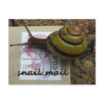 Snail mail postcards