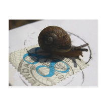 snail mail postcards