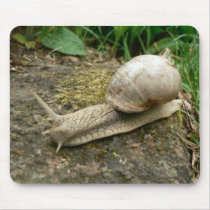 Snail Mouse Pad