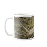 Snail Coffee Mug