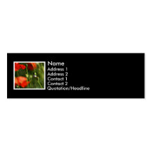 snail n poppies business card