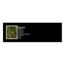 snail n poppies business card templates
