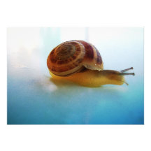 Snail Personalized Announcement
