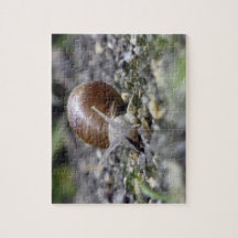 Snail Photo Puzzles
