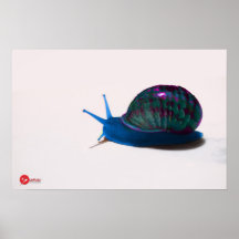 ~SNAIL~ POSTERS