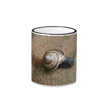Snail Ringer Mug 11 oz