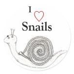 Snail Sticker
