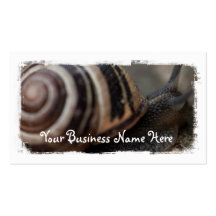 Snail Up Close; Promotional Business Card Templates