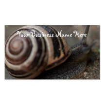 Snail Up Close; Promotional Business Cards