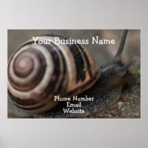 Snail Up Close; Promotional Posters