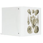 Snails binders