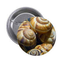 snails buttons