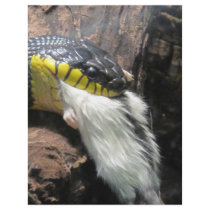 Snake and Mouse