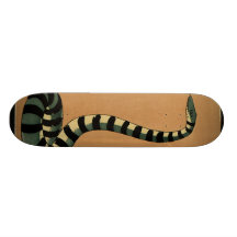 Snake - Antiquarian, Colourful Book Illustration Skate Board Deck